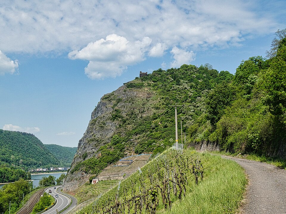Burgruine Hammerstein über dem Rhein